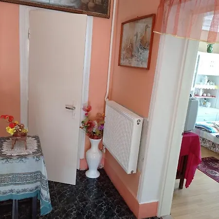 Olga Vendeghaz Apartment