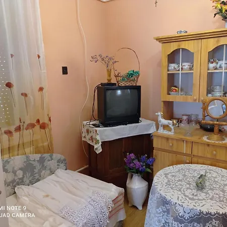 Apartment Olga Vendeghaz Abadszalok