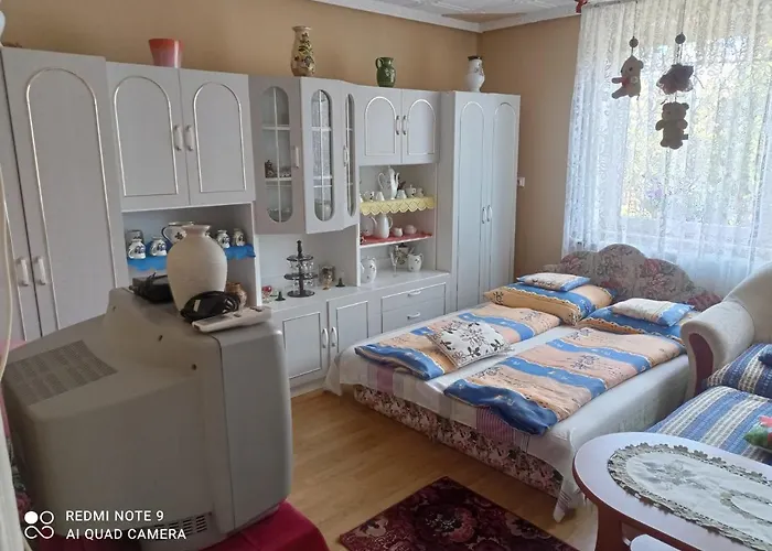 Olga Vendeghaz Appartement