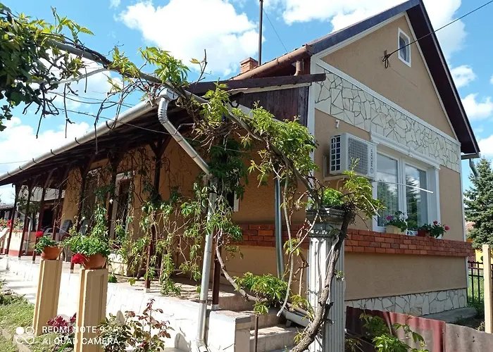 Olga Vendeghaz * Abádszalók